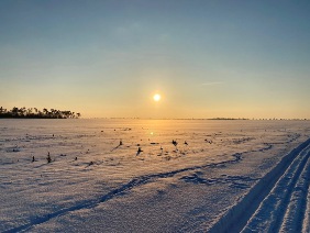 „Vom Eise befreit sind Strom und Bäche“…